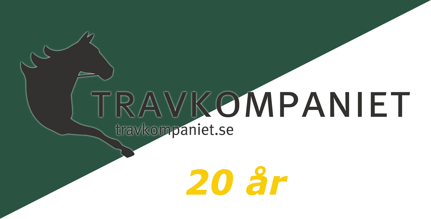 Travkomp vimpel low (kopia)